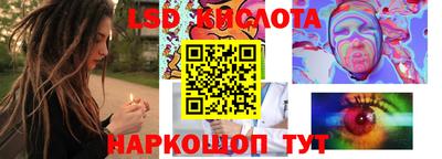 шишки Конаково