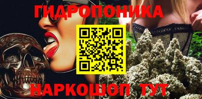 шишки Конаково
