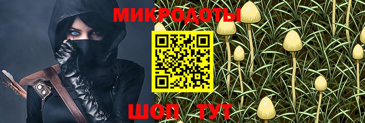 Псилоцибиновые грибы Cubensis Канаш